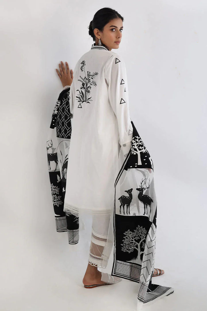 Shirt-Cotton