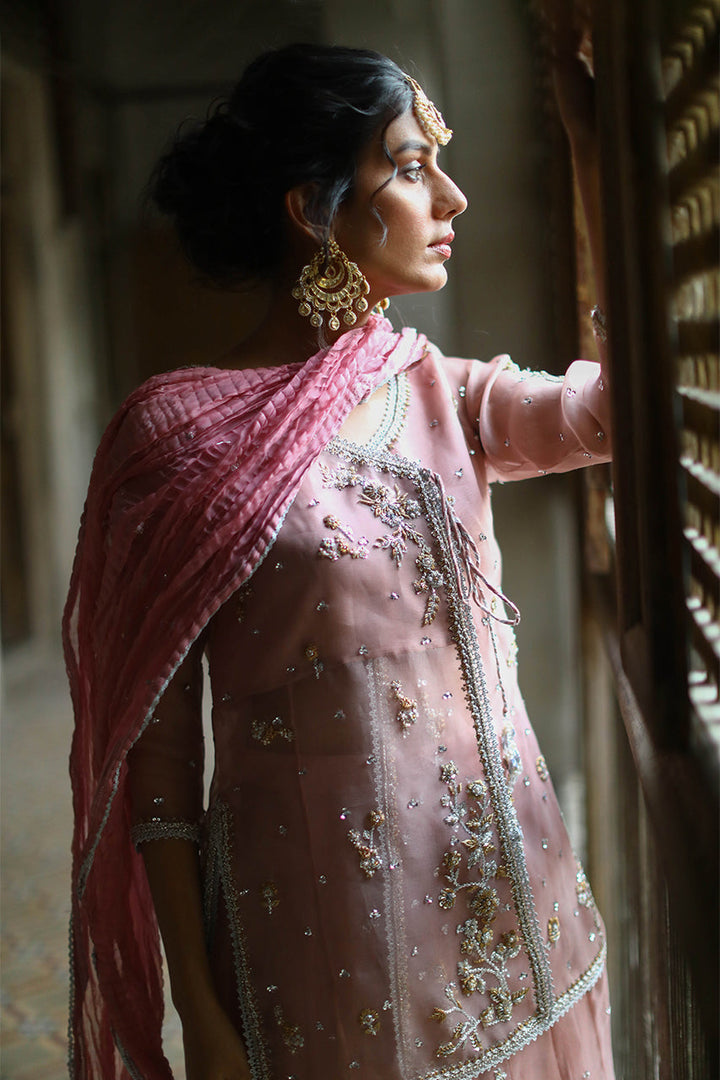 Organza-Lehenga